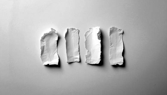 Four small torn paper slips laid separately on a pale surface, none of them touching.
