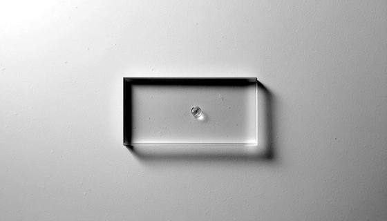 A single specimen sealed beneath a thin rectangle of laboratory glass.